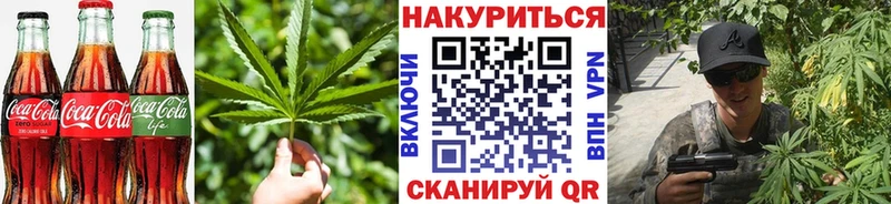 KRAKEN как зайти  купить  сайты  Сурск  Canna-Cookies марихуана 